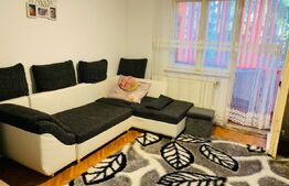 Apartament 2 camere, zona Dâmbu
