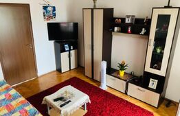 Apartament 1 cameră, Tudor