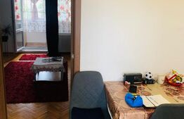 Apartament 1 cameră, Tudor