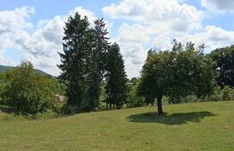 Cabana cu teren intravilan 18.449 mp – Paingeni | 7,5 €/mp | Vedere panoramică