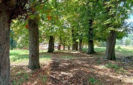 Cabana cu teren intravilan 18.449 mp – Paingeni | 7,5 €/mp | Vedere panoramică