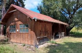 Cabana cu teren intravilan 18.449 mp – Paingeni | 7,5 €/mp | Vedere panoramică