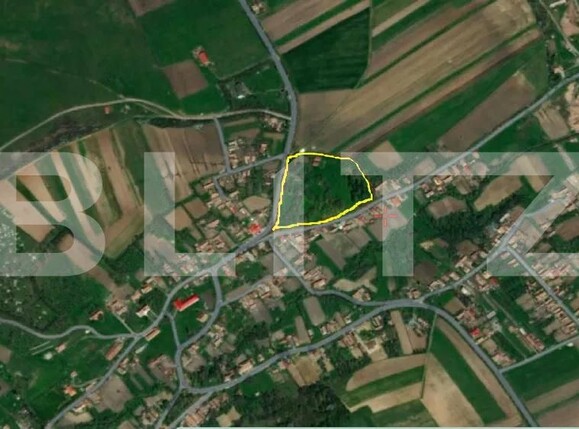 Casa de vânzare 3 camere Paingeni - 176113CV | BLITZ Târgu Mureș | Poza6