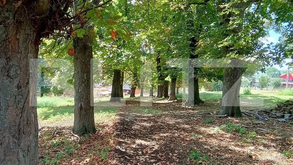 Casa de vânzare 3 camere Paingeni - 176113CV | BLITZ Târgu Mureș | Poza1