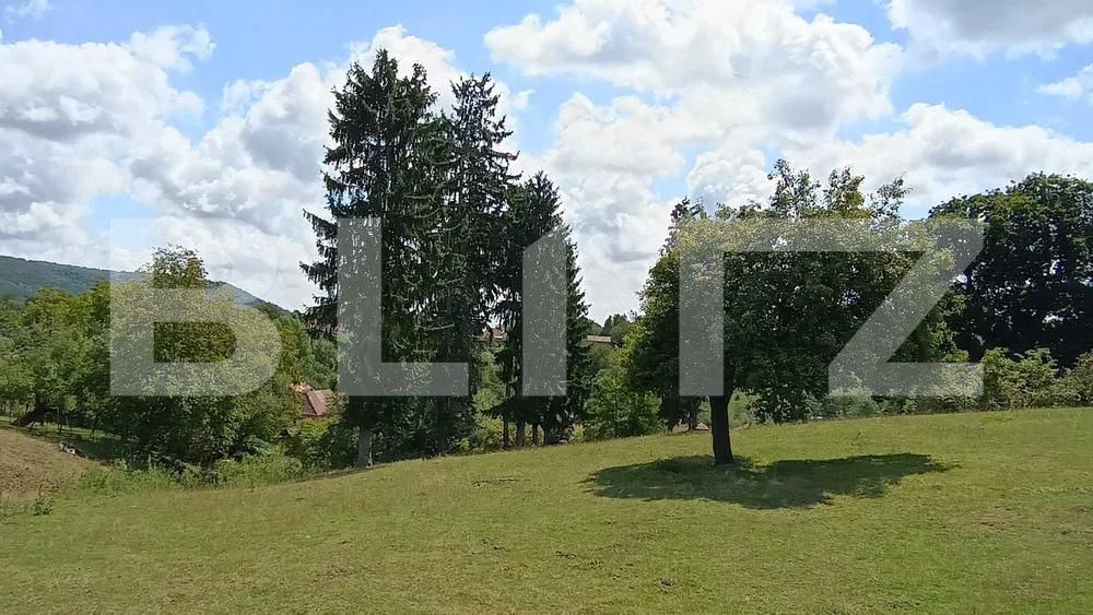 Casa de vânzare 3 camere Paingeni - 176113CV | BLITZ Târgu Mureș | Poza4