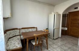 Apartament 2 camere de inchiriat, zona Pandurilor