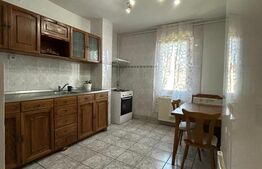 Apartament 2 camere de inchiriat, zona Pandurilor