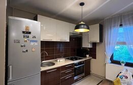 Apartament cu 2 camere decomandat | 55 mp | modern renovat, zona Pandurilor 