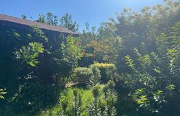 Casă în zonă liniștită – Sângeorgiu de Mureș, 200 mp, teren 500 mp