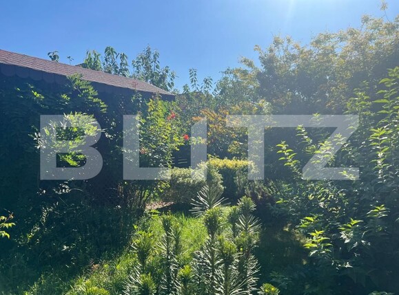 Casa de vânzare 5 camere Sângeorgiu de Mureș - 176372CV | BLITZ Târgu Mureș | Poza7