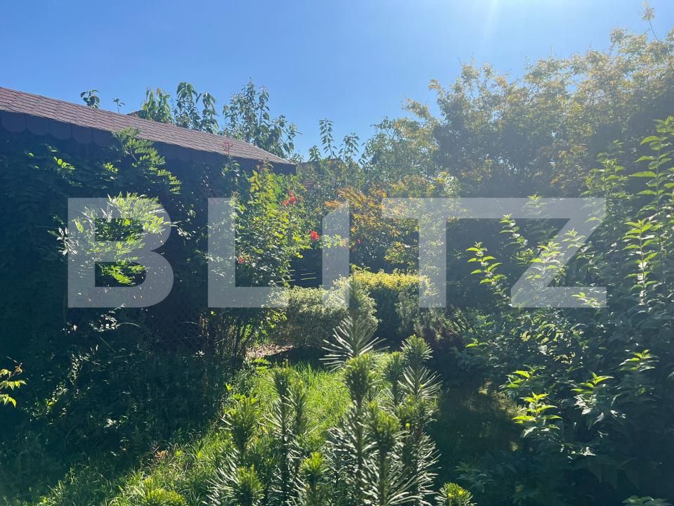 Casa de vânzare 5 camere Sângeorgiu de Mureș - 176372CV | BLITZ Târgu Mureș | Poza7