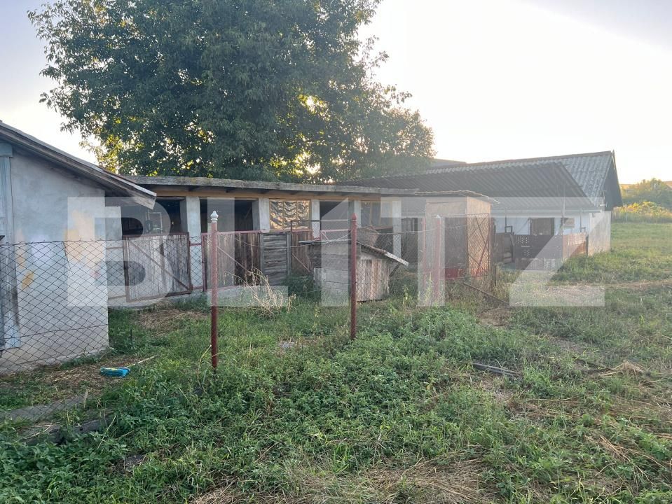 Casa de vânzare 2 camere Cristești - 176424CV | BLITZ Târgu Mureș | Poza5