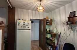 Apartament cu 3 camere | 70 mp | etaj 1,  zona Pandurilor