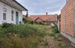 Proprietate cu 10 ari teren de vanzare pe strada Bolyai