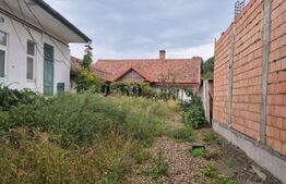 Proprietate cu 10 ari teren de vanzare pe strada Bolyai