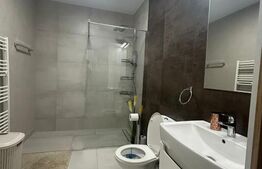 Apartament de inchiriat, cu 2 camere, 56 mp, zona Calea Sighisoarei