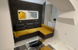 Apartament de vânzare în zonă ultracentrală, 2 camere, închiriat pe termen lung