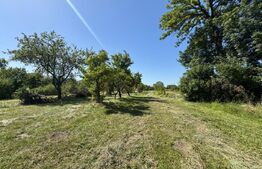 De Vânzare – Casă de Vacanță cu Teren Generos 5.755 m² , 3 Camere 