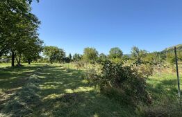 De Vânzare – Casă de Vacanță cu Teren Generos 5.755 m² , 3 Camere 