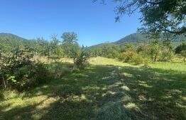 De Vânzare – Casă de Vacanță cu Teren Generos 5.755 m² , 3 Camere 