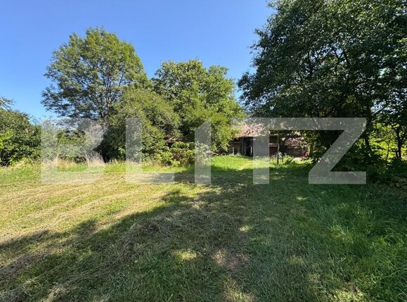 Casa de vânzare 3 camere Bistra Muresului - 177704CV | BLITZ Târgu Mureș | Poza21