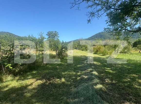 Casa de vânzare 3 camere Bistra Muresului - 177704CV | BLITZ Târgu Mureș | Poza20