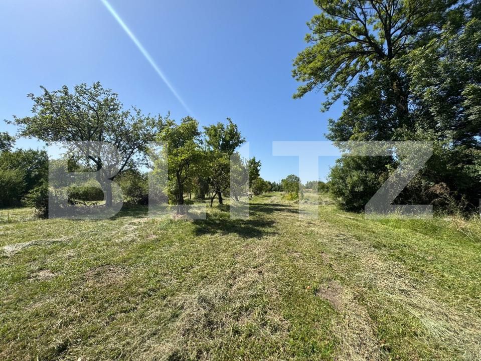 Casa de vânzare 3 camere Bistra Muresului - 177704CV | BLITZ Târgu Mureș | Poza22