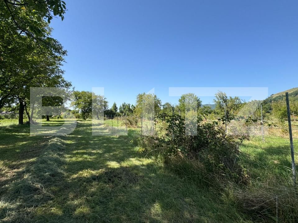 Casa de vânzare 3 camere Bistra Muresului - 177704CV | BLITZ Târgu Mureș | Poza19