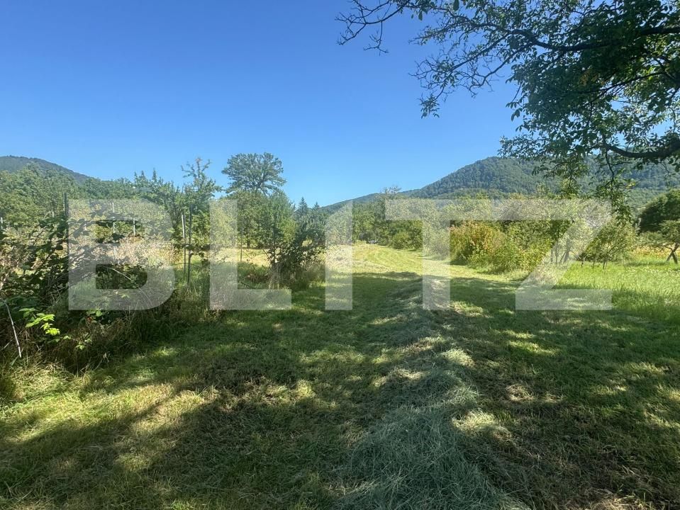 Casa de vânzare 3 camere Bistra Muresului - 177704CV | BLITZ Târgu Mureș | Poza20