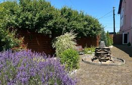 Complex Comercial și Motel – 1.600 m² utili | Teren 3.000 m² | Reghin, DN15