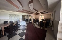 Complex Comercial și Motel – 1.600 m² utili | Teren 3.000 m² | Reghin, DN15