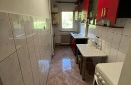 Apartament 1 cameră de vânzare, 32 mp, zona Tudor