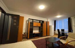 Garsonieră de vânzare, 32 mp – Aleea Carpați