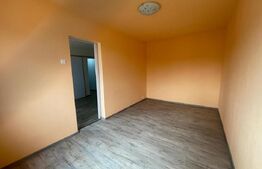 Apartament de vanzare 2 camere, 35 mp, zona Dambu Pietros