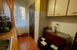 Apartament 2 camere, 45 mp, zona Tudor