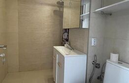 Vand apartament 3 camere, parter inalt, Tudor