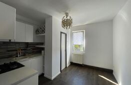 Vand apartament 3 camere, parter inalt, Tudor