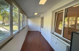 Vand apartament 3 camere, parter inalt, Tudor