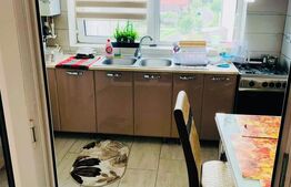 Apartament 2 camere zonă centrală, Luduș