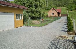 Casă cu teren generos și lac de pescuit – Ceuașu de Câmpie