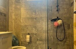 Casă cu teren generos și lac de pescuit – Ceuașu de Câmpie