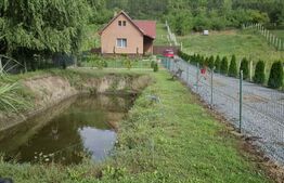 Casă cu teren generos și lac de pescuit – Ceuașu de Câmpie