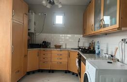 Casă cu teren generos și lac de pescuit – Ceuașu de Câmpie