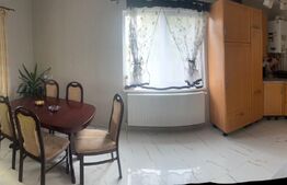 Casă cu teren generos și lac de pescuit – Ceuașu de Câmpie