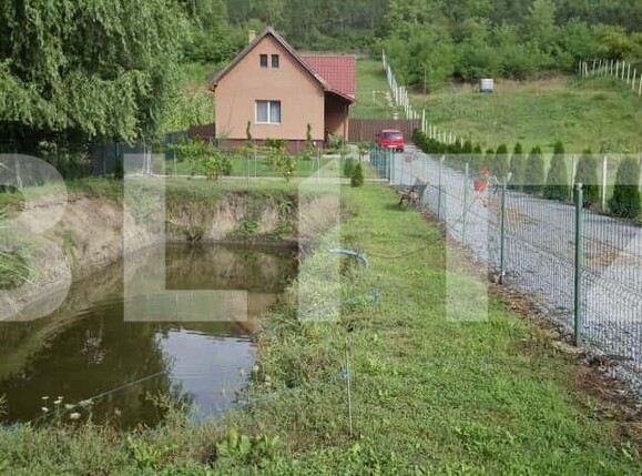 Casa de vânzare 2 camere Ceuasu de Câmpie - 178489CV | BLITZ Târgu Mureș | Poza3