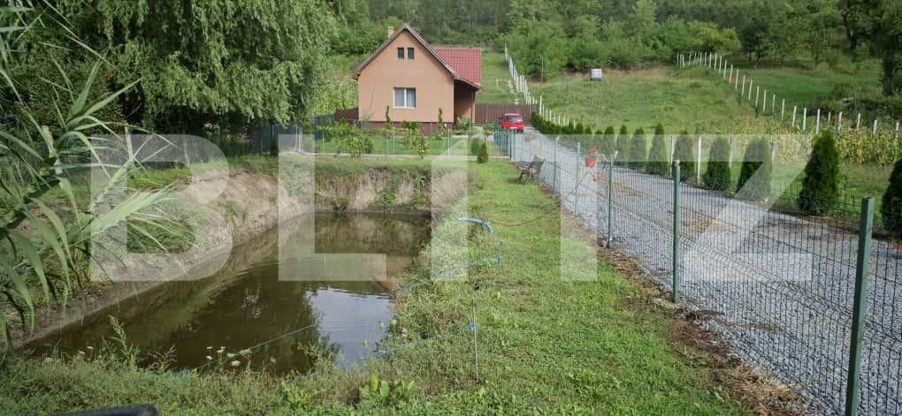 Casa de vânzare 2 camere Ceuasu de Câmpie - 178489CV | BLITZ Târgu Mureș | Poza3