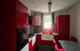 Apartament 2 camere, 50 mp, zona Bălcescu