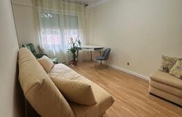 Apartament 1 cameră, 22,74 mp, zona Tudor