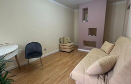 Apartament 1 cameră, 22,74 mp, zona Tudor