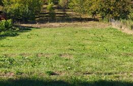 Teren intravilan 2160 mp – Poienița, Livezeni | Zonă liniștită